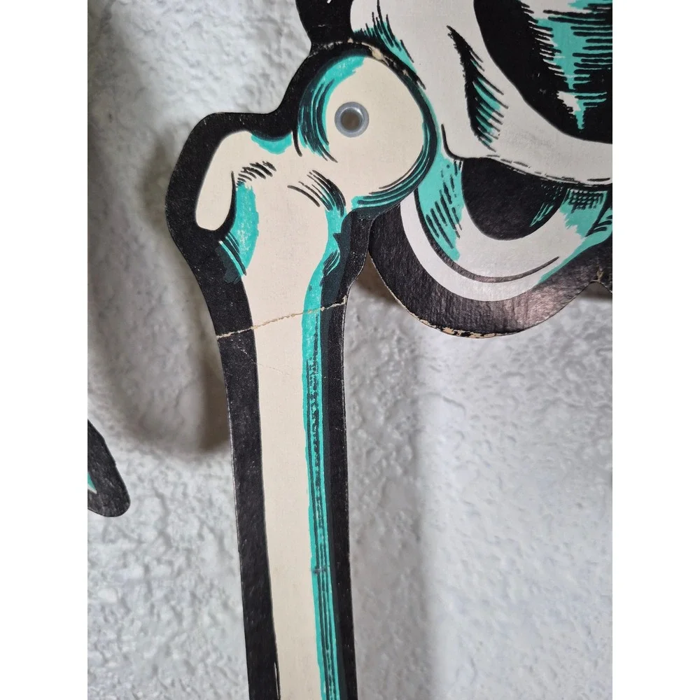 Vtg Beistle Jointed Cardboard Skeleton Halloween Decoration Teal Cream 36 Inch